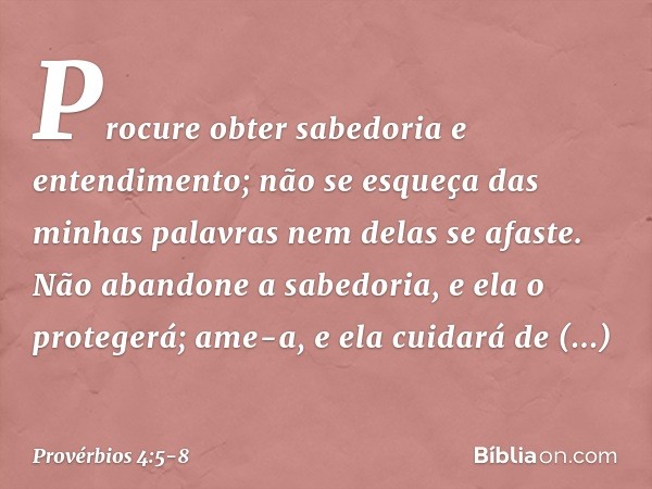 Procure obter sabedoria e entendimento;
não se esqueça das minhas palavras
nem delas se afaste. Não abandone a sabedoria,
e ela o protegerá;
ame-a, e ela cuidar