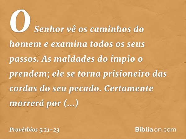 O Senhor vê os caminhos do homem
e examina todos os seus passos. As maldades do ímpio o prendem;
ele se torna prisioneiro
das cordas do seu pecado. Certamente m