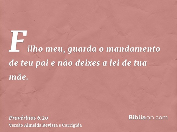 Filho meu, guarda o mandamento de teu pai e não deixes a lei de tua mãe.