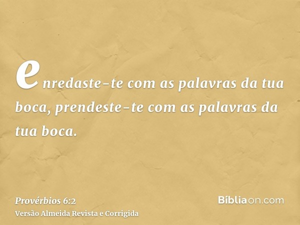 enredaste-te com as palavras da tua boca, prendeste-te com as palavras da tua boca.