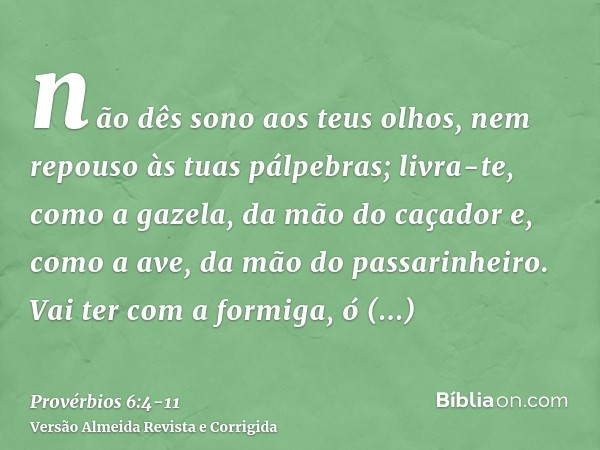 não dês sono aos teus olhos, nem repouso às tuas pálpebras;livra-te, como a gazela, da mão do caçador e, como a ave, da mão do passarinheiro.Vai ter com a formi