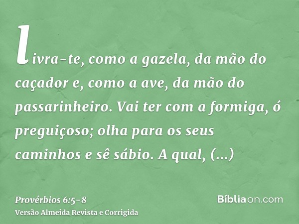 livra-te, como a gazela, da mão do caçador e, como a ave, da mão do passarinheiro.Vai ter com a formiga, ó preguiçoso; olha para os seus caminhos e sê sábio.A q