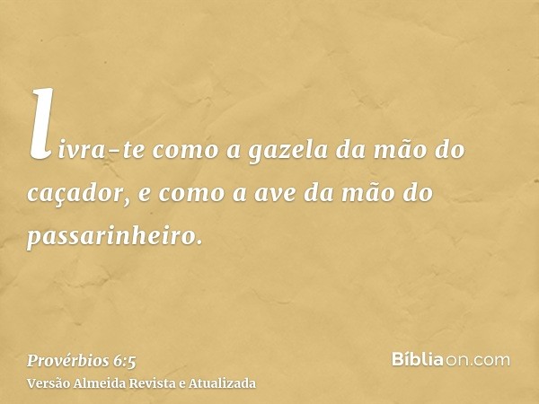 livra-te como a gazela da mão do caçador, e como a ave da mão do passarinheiro.