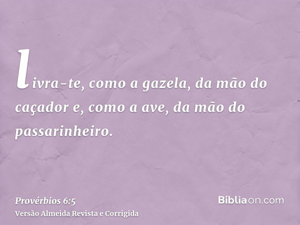 livra-te, como a gazela, da mão do caçador e, como a ave, da mão do passarinheiro.