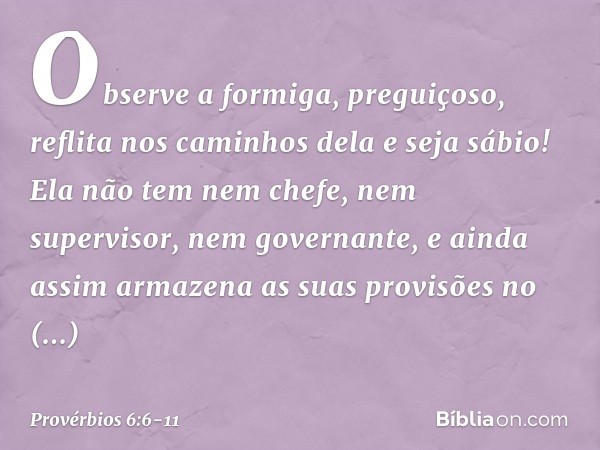 Observe a formiga, preguiçoso,
reflita nos caminhos dela e seja sábio! Ela não tem nem chefe,
nem supervisor, nem governante, e ainda assim armazena
as suas pro