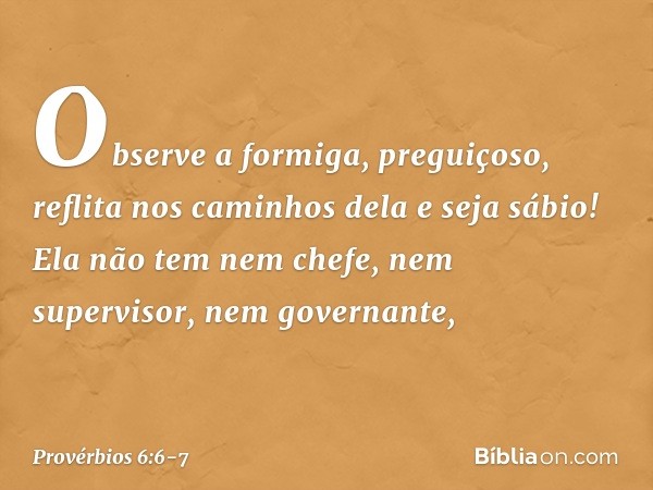 Observe a formiga, preguiçoso,
reflita nos caminhos dela e seja sábio! Ela não tem nem chefe,
nem supervisor, nem governante, -- Provérbios 6:6-7