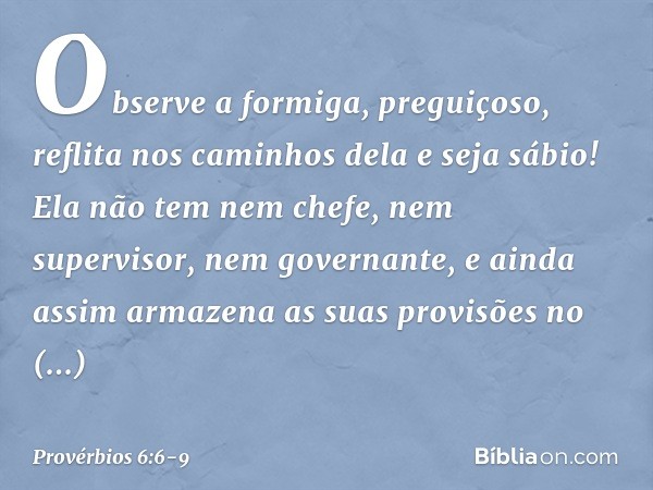 Observe a formiga, preguiçoso,
reflita nos caminhos dela e seja sábio! Ela não tem nem chefe,
nem supervisor, nem governante, e ainda assim armazena
as suas pro