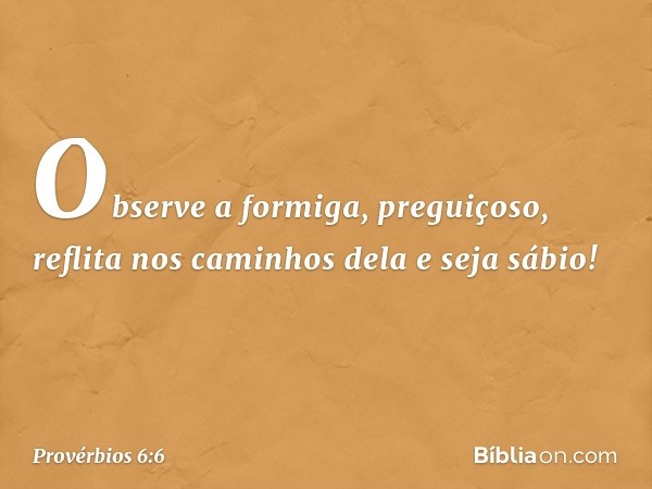 Observe a formiga, preguiçoso,
reflita nos caminhos dela e seja sábio! -- Provérbios 6:6