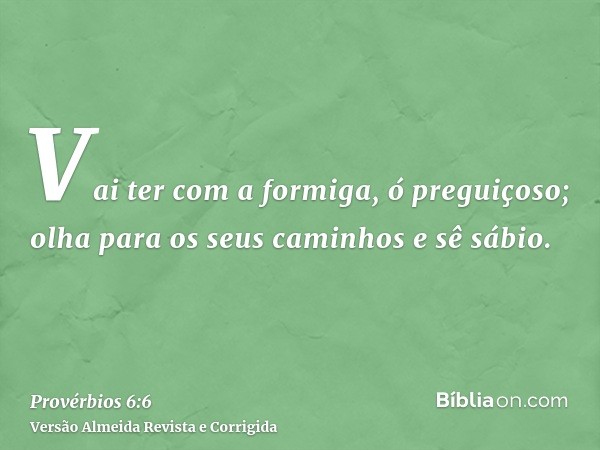 Vai ter com a formiga, ó preguiçoso; olha para os seus caminhos e sê sábio.