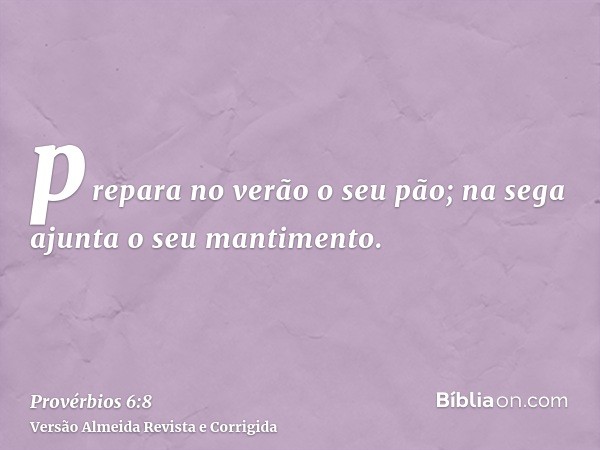 prepara no verão o seu pão; na sega ajunta o seu mantimento.