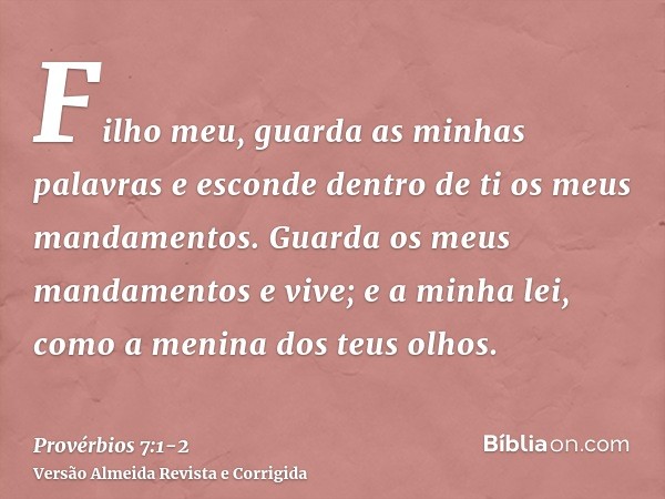 Filho meu, guarda as minhas palavras e esconde dentro de ti os meus mandamentos.Guarda os meus mandamentos e vive; e a minha lei, como a menina dos teus olhos.