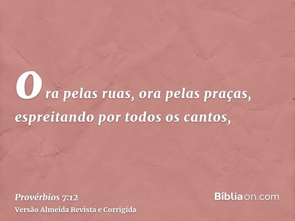 ora pelas ruas, ora pelas praças, espreitando por todos os cantos,