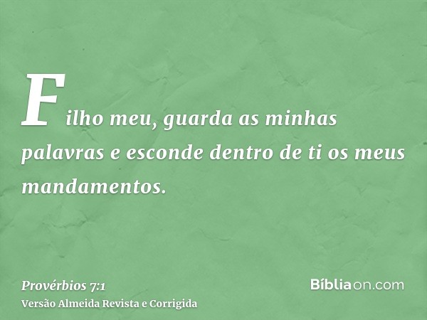 Filho meu, guarda as minhas palavras e esconde dentro de ti os meus mandamentos.
