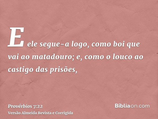 E ele segue-a logo, como boi que vai ao matadouro; e, como o louco ao castigo das prisões,