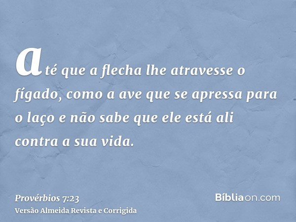 até que a flecha lhe atravesse o fígado, como a ave que se apressa para o laço e não sabe que ele está ali contra a sua vida.