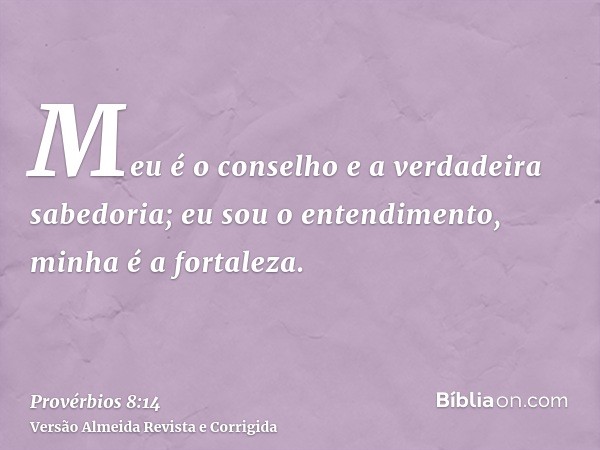 Meu é o conselho e a verdadeira sabedoria; eu sou o entendimento, minha é a fortaleza.