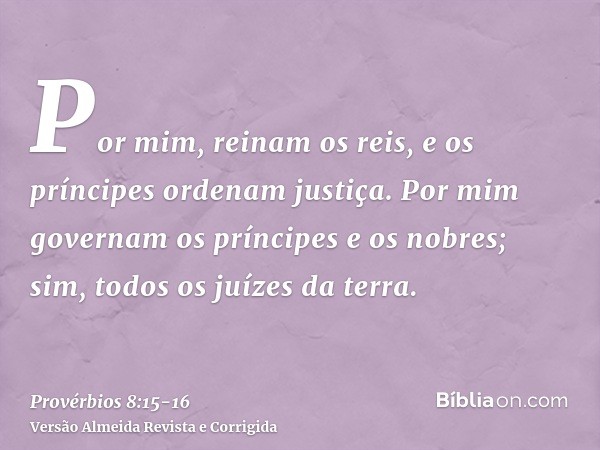 Por mim, reinam os reis, e os príncipes ordenam justiça.Por mim governam os príncipes e os nobres; sim, todos os juízes da terra.