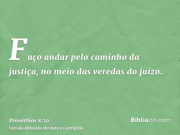 Faço andar pelo caminho da justiça, no meio das veredas do juízo.