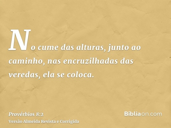 No cume das alturas, junto ao caminho, nas encruzilhadas das veredas, ela se coloca.