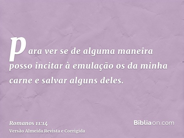 para ver se de alguma maneira posso incitar à emulação os da minha carne e salvar alguns deles.