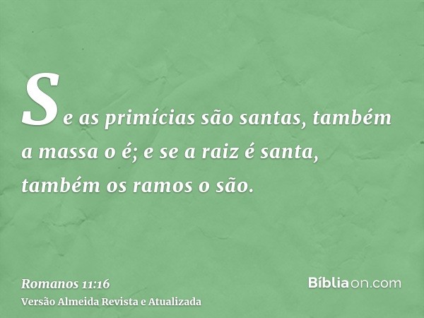 Se as primícias são santas, também a massa o é; e se a raiz é santa, também os ramos o são.