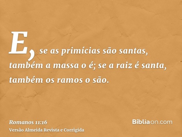 E, se as primícias são santas, também a massa o é; se a raiz é santa, também os ramos o são.