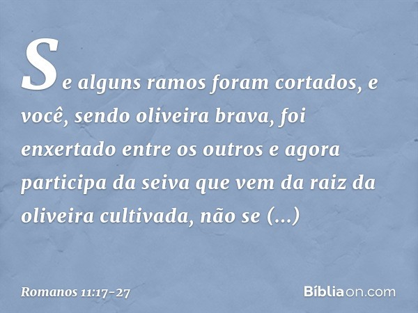 Se alguns ramos foram cortados, e você, sendo oliveira brava, foi enxertado entre os outros e agora participa da seiva que vem da raiz da oliveira cultivada, nã