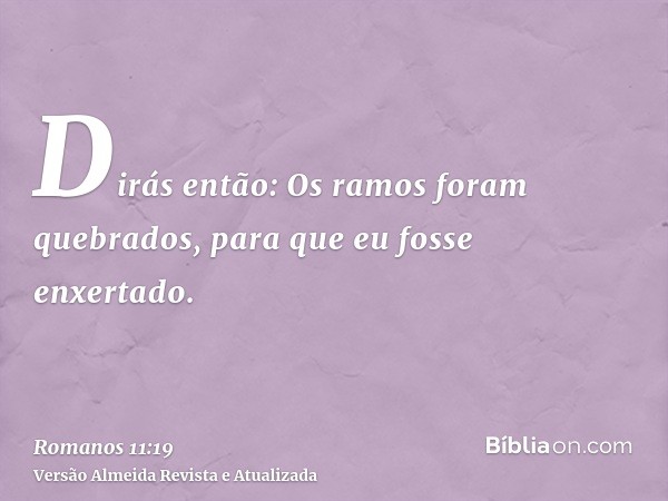 Dirás então: Os ramos foram quebrados, para que eu fosse enxertado.