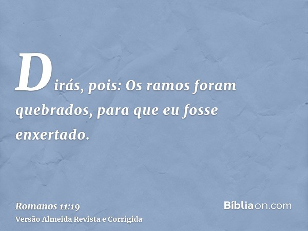 Dirás, pois: Os ramos foram quebrados, para que eu fosse enxertado.