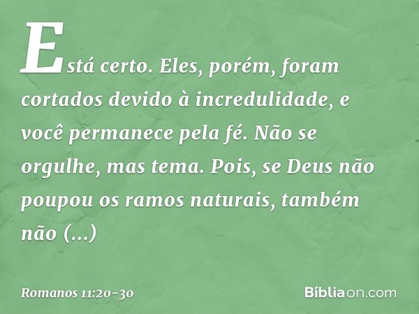 Está certo. Eles, porém, foram cortados devido à incredulidade, e você permanece pela fé. Não se orgulhe, mas tema. Pois, se Deus não poupou os ramos naturais, 