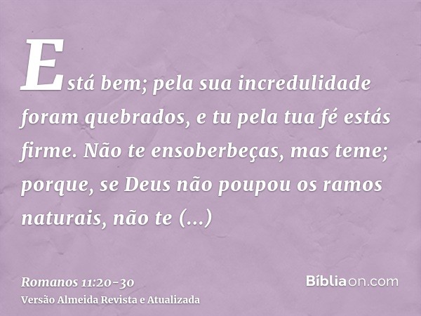 Está bem; pela sua incredulidade foram quebrados, e tu pela tua fé estás firme. Não te ensoberbeças, mas teme;porque, se Deus não poupou os ramos naturais, não 