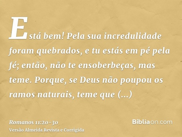 Está bem! Pela sua incredulidade foram quebrados, e tu estás em pé pela fé; então, não te ensoberbeças, mas teme.Porque, se Deus não poupou os ramos naturais, t