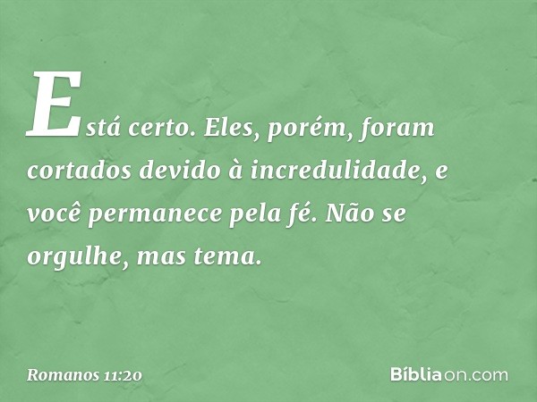 Está certo. Eles, porém, foram cortados devido à incredulidade, e você permanece pela fé. Não se orgulhe, mas tema. -- Romanos 11:20