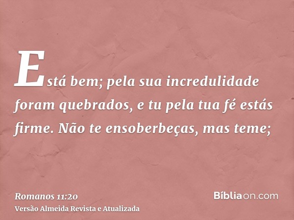 Está bem; pela sua incredulidade foram quebrados, e tu pela tua fé estás firme. Não te ensoberbeças, mas teme;