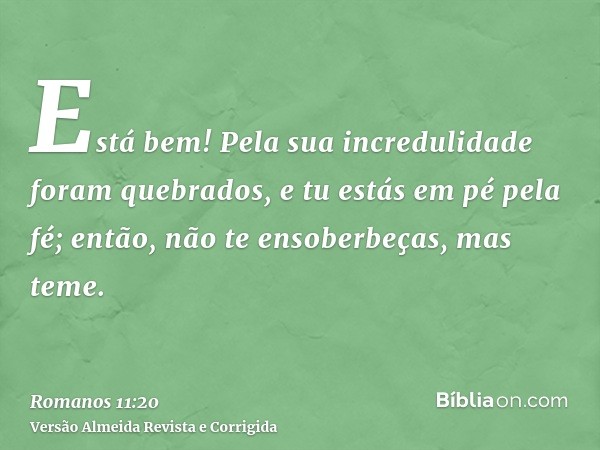 Está bem! Pela sua incredulidade foram quebrados, e tu estás em pé pela fé; então, não te ensoberbeças, mas teme.