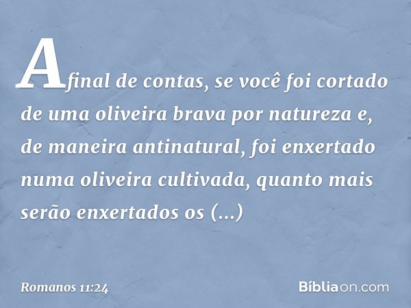 Afinal de contas, se você foi cortado de uma oliveira brava por natureza e, de maneira antinatural, foi enxertado numa oliveira cultivada, quanto mais serão enx