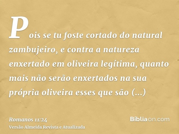 Pois se tu foste cortado do natural zambujeiro, e contra a natureza enxertado em oliveira legítima, quanto mais não serão enxertados na sua própria oliveira ess