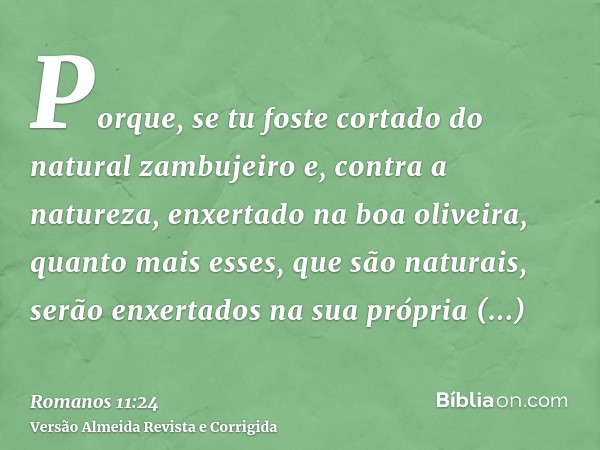 Porque, se tu foste cortado do natural zambujeiro e, contra a natureza, enxertado na boa oliveira, quanto mais esses, que são naturais, serão enxertados na sua 