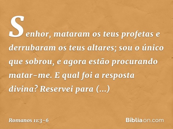 "Senhor, mataram os teus profetas e derrubaram os teus altares; sou o único que sobrou, e agora estão procurando matar-me." E qual foi a resposta divina? "Reser