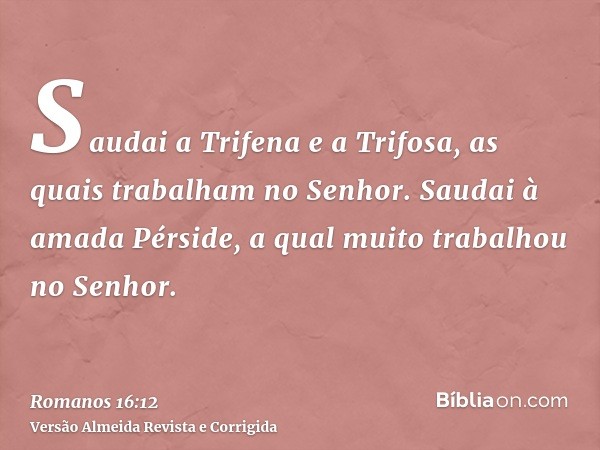 Saudai a Trifena e a Trifosa, as quais trabalham no Senhor. Saudai à amada Pérside, a qual muito trabalhou no Senhor.
