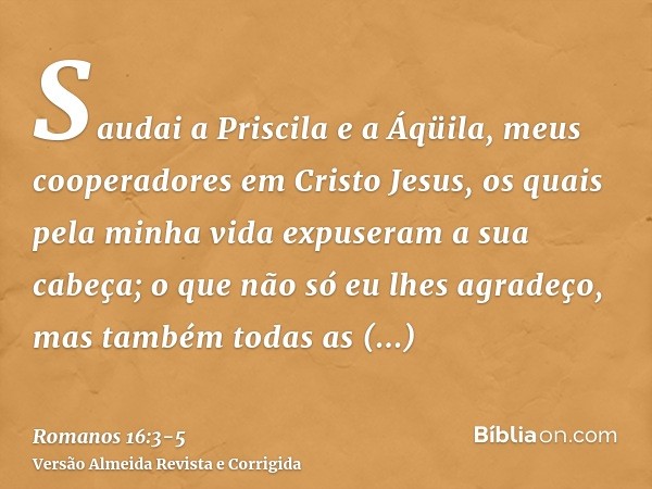 Saudai a Priscila e a Áqüila, meus cooperadores em Cristo Jesus,os quais pela minha vida expuseram a sua cabeça; o que não só eu lhes agradeço, mas também todas