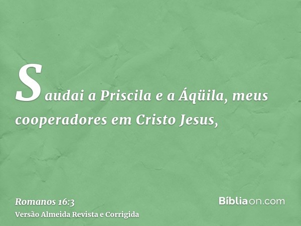 Saudai a Priscila e a Áqüila, meus cooperadores em Cristo Jesus,