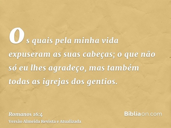 os quais pela minha vida expuseram as suas cabeças; o que não só eu lhes agradeço, mas também todas as igrejas dos gentios.