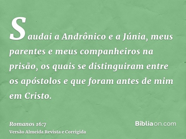Saudai a Andrônico e a Júnia, meus parentes e meus companheiros na prisão, os quais se distinguiram entre os apóstolos e que foram antes de mim em Cristo.