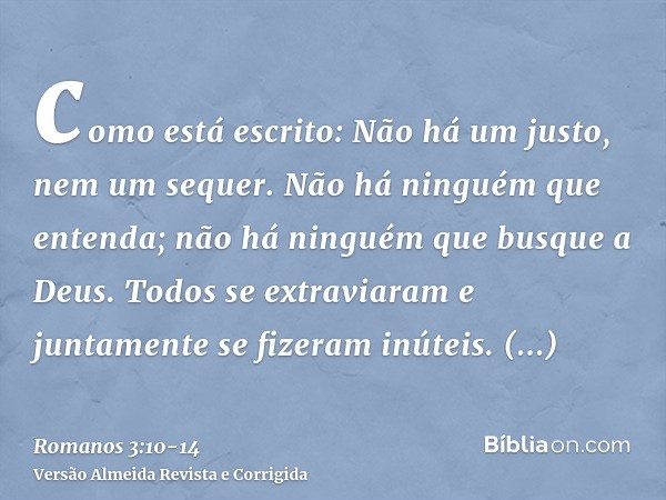como está escrito: Não há um justo, nem um sequer.Não há ninguém que entenda; não há ninguém que busque a Deus.Todos se extraviaram e juntamente se fizeram inút