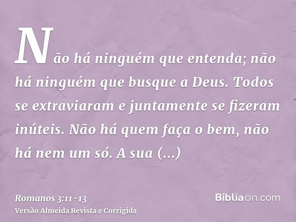 Não há ninguém que entenda; não há ninguém que busque a Deus.Todos se extraviaram e juntamente se fizeram inúteis. Não há quem faça o bem, não há nem um só.A su