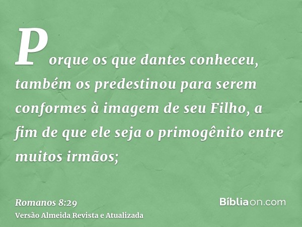 Porque os que dantes conheceu, também os predestinou para serem conformes à imagem de seu Filho, a fim de que ele seja o primogênito entre muitos irmãos;