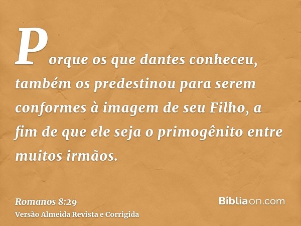 Porque os que dantes conheceu, também os predestinou para serem conformes à imagem de seu Filho, a fim de que ele seja o primogênito entre muitos irmãos.