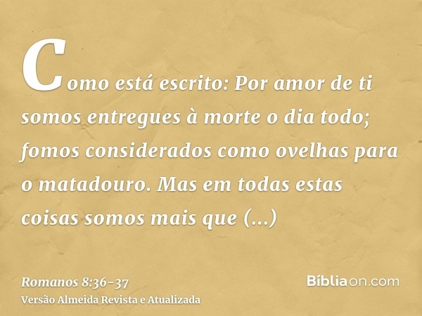 Como está escrito: Por amor de ti somos entregues à morte o dia todo; fomos considerados como ovelhas para o matadouro.Mas em todas estas coisas somos mais que 