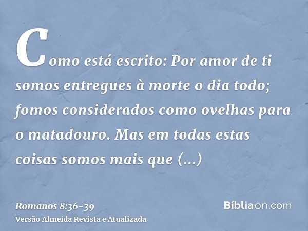 Como está escrito: Por amor de ti somos entregues à morte o dia todo; fomos considerados como ovelhas para o matadouro.Mas em todas estas coisas somos mais que 